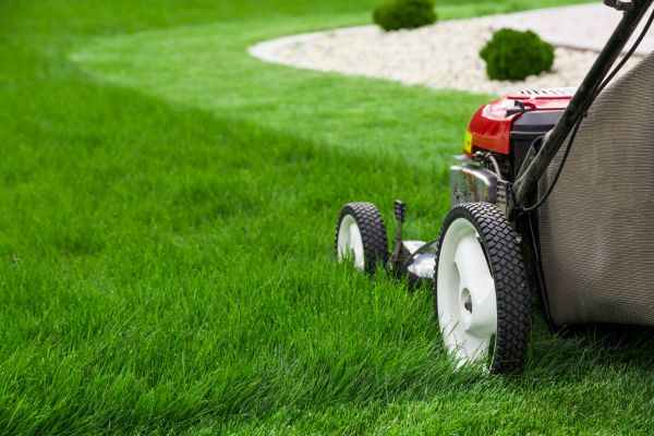 Grass Cutting Service in West Chester