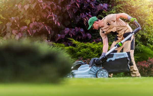 Lawn Care And Maintenance in West Chester
