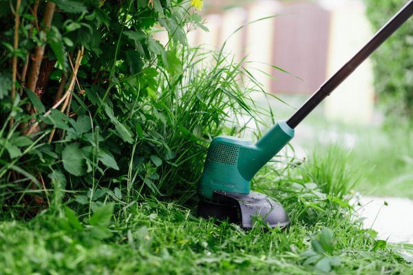 Weed Whacking in West Chester