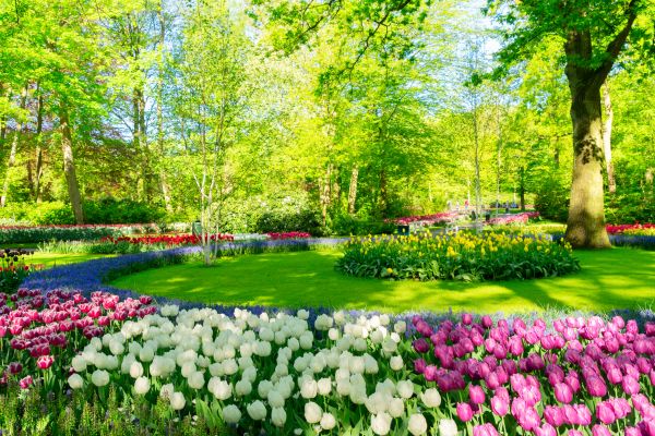 Spring Lawn Care in West Chester