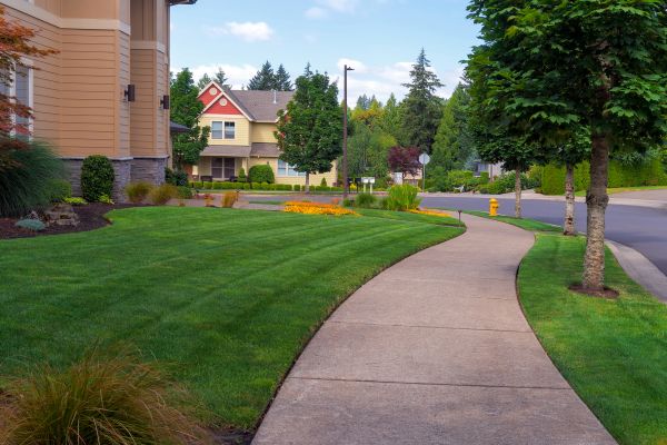 Home Lawn Maintenance in West Chester