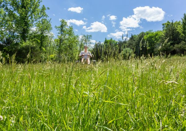 Long Grass Mowing in West Chester