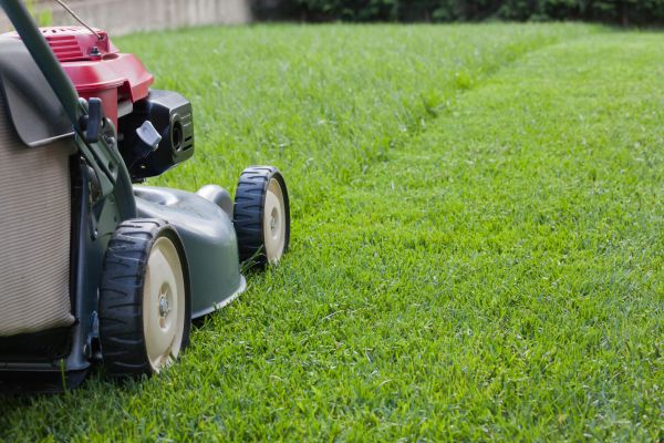 Summer Lawn Care in West Chester