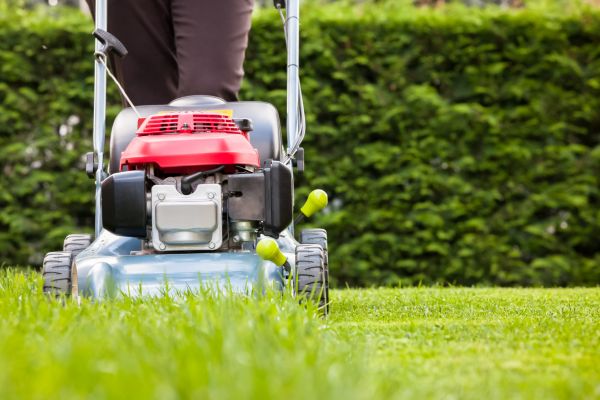 Grass Trimming Service in West Chester