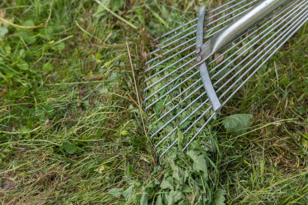 Thatch Raking in West Chester