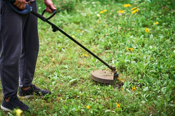 Lawn Weed Cutting