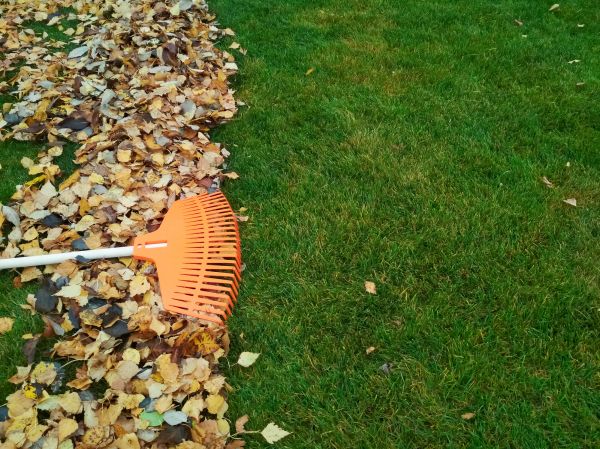 Fall Lawn Care in West Chester