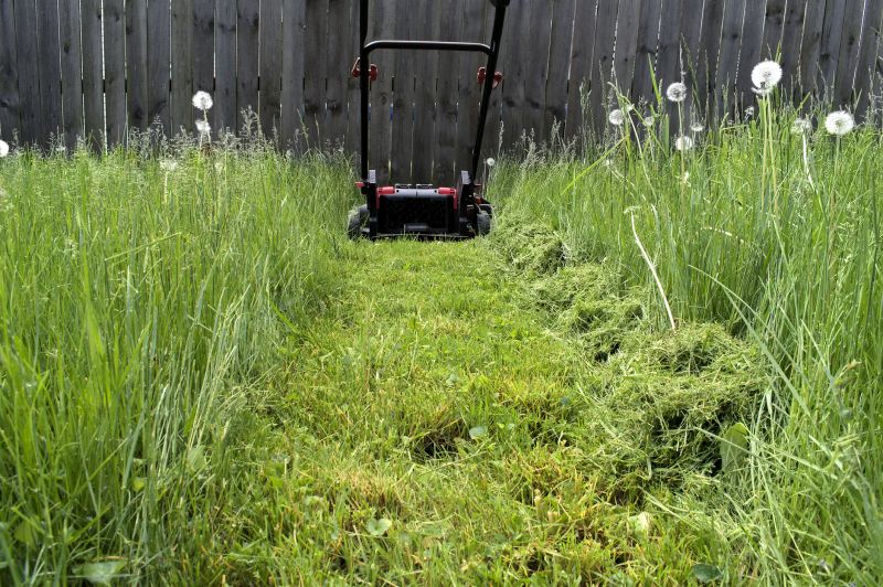 High Grass Trimming