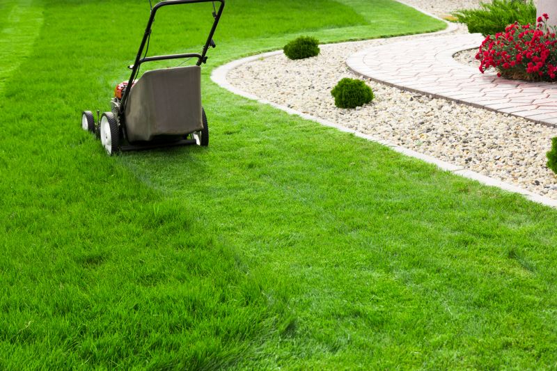 Routine Lawn Care